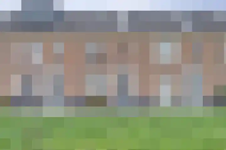 Boommarter 8 's-Gravenzande thumbnail 27