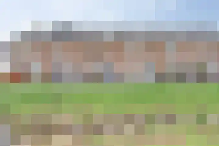 Boommarter 8 's-Gravenzande thumbnail 28
