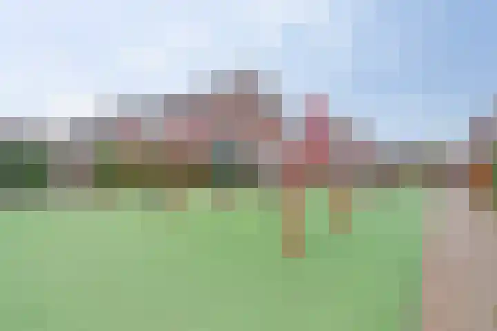 Boommarter 8 's-Gravenzande thumbnail 31