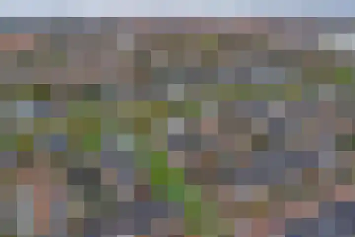 Boommarter 8 's-Gravenzande thumbnail 32
