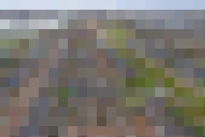 Boommarter 8 's-Gravenzande thumbnail 33
