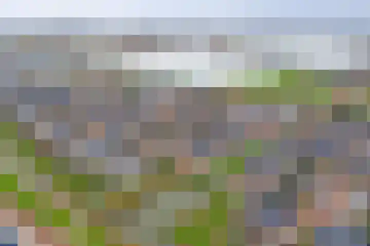 Boommarter 8 's-Gravenzande thumbnail 34