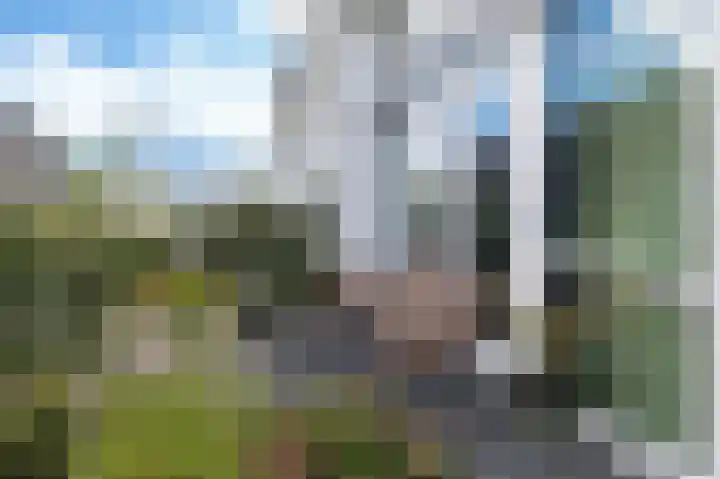 Boommarterhof 22 Culemborg thumbnail 15