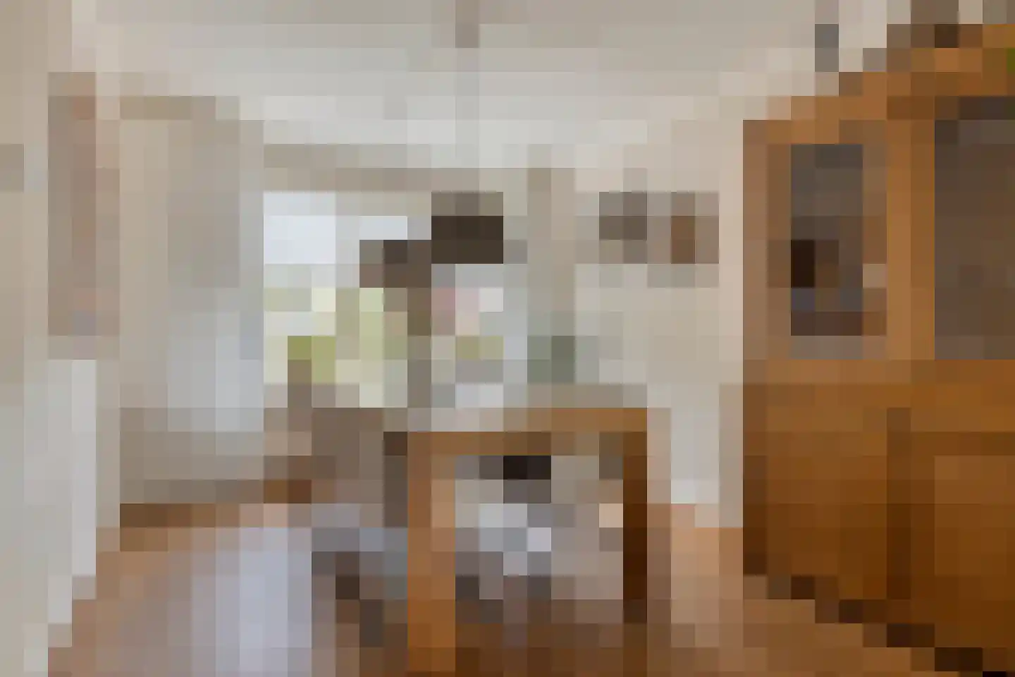 Boommarterstraat 12 Heijen thumbnail 14