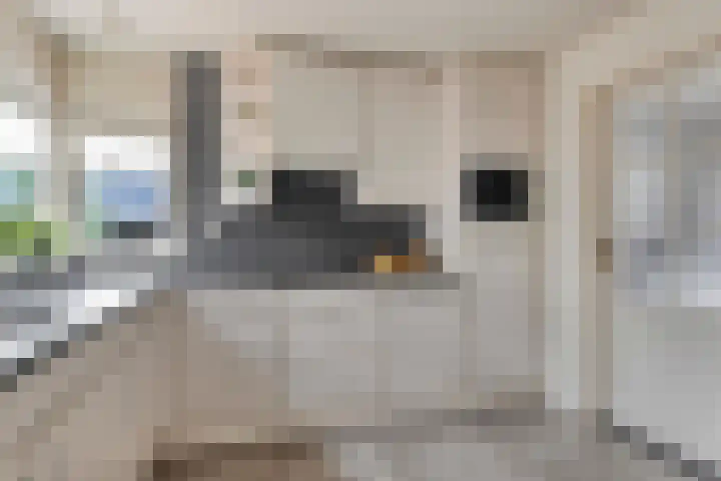Boommarterstraat 12 Heijen thumbnail 16