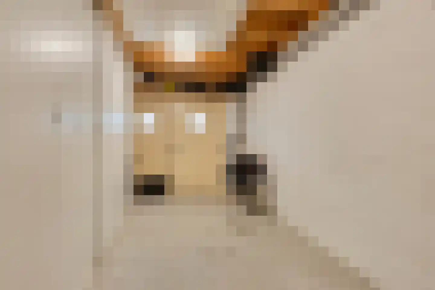 Boommarterstraat 12 Heijen thumbnail 21