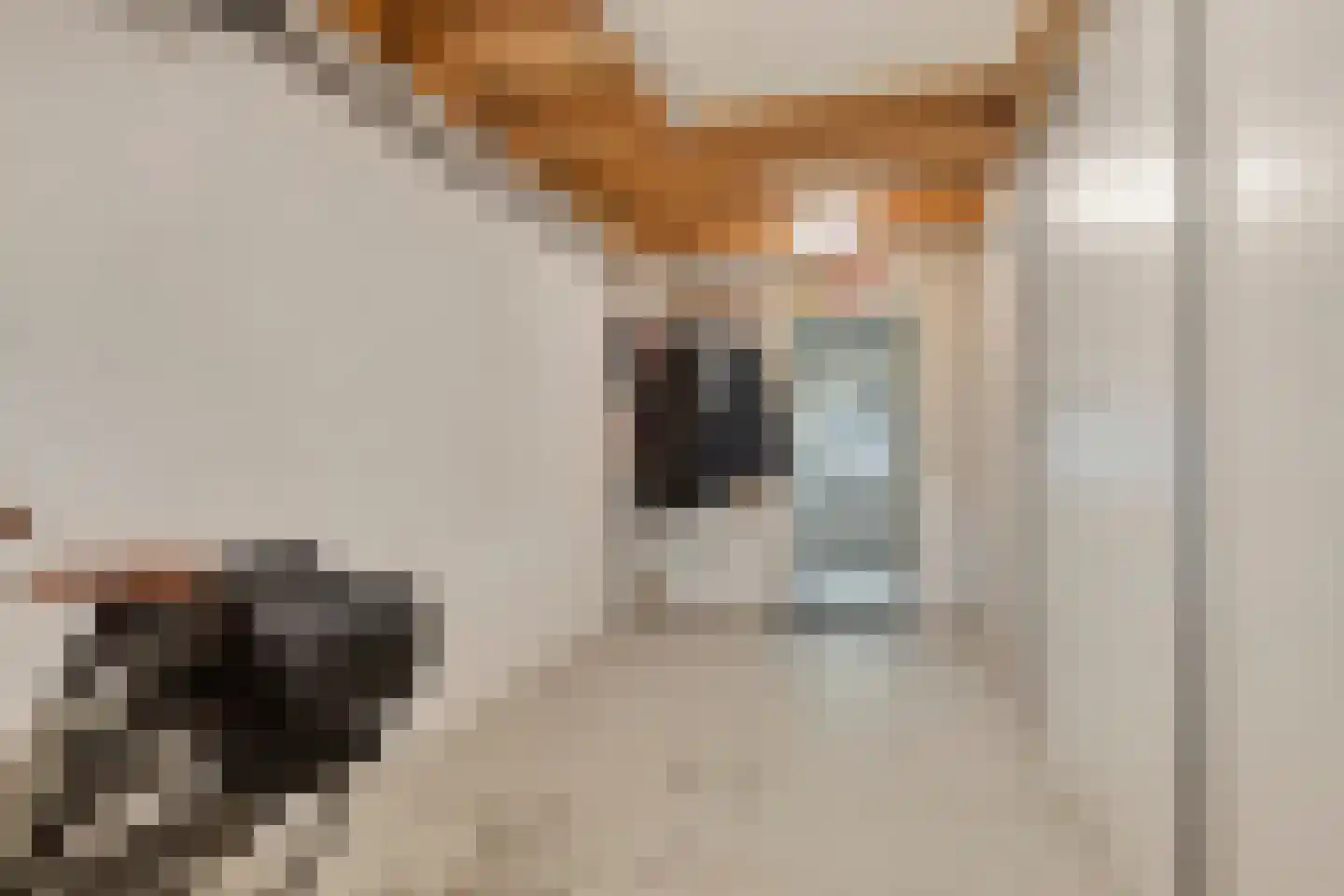 Boommarterstraat 12 Heijen thumbnail 22