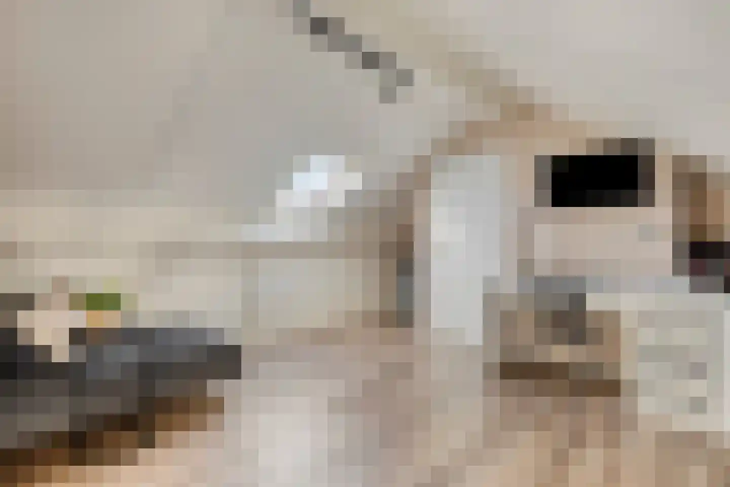 Boommarterstraat 12 Heijen thumbnail 34