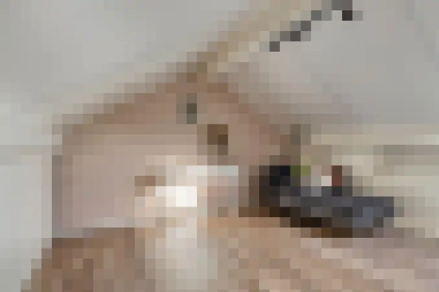 Boommarterstraat 12 Heijen thumbnail 35