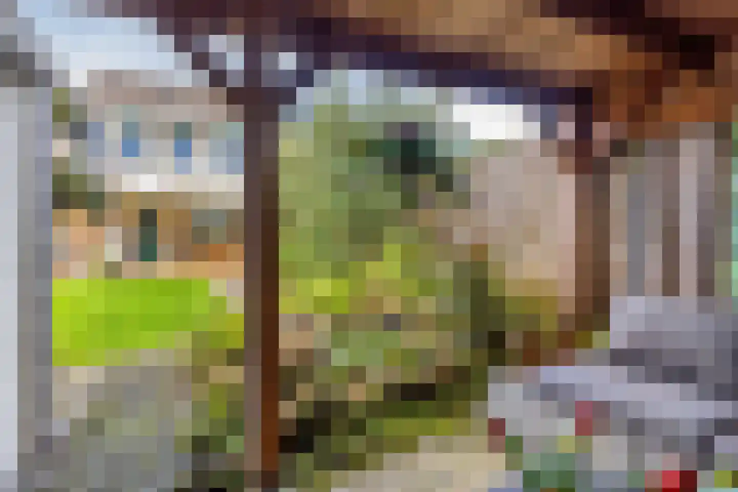 Boommarterstraat 12 Heijen thumbnail 36