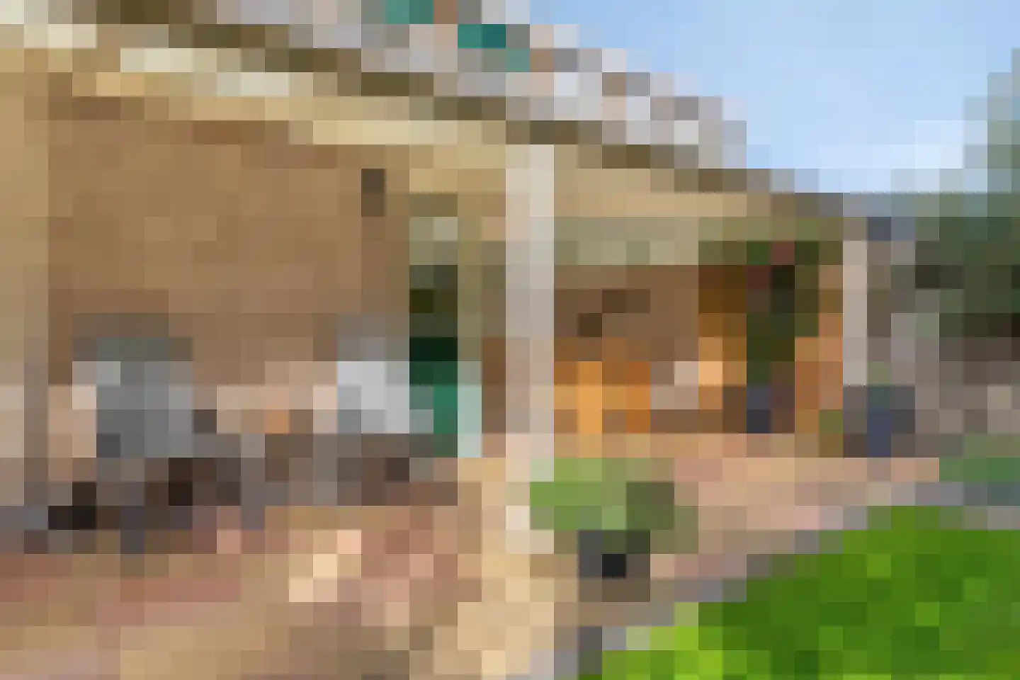 Boommarterstraat 12 Heijen thumbnail 38