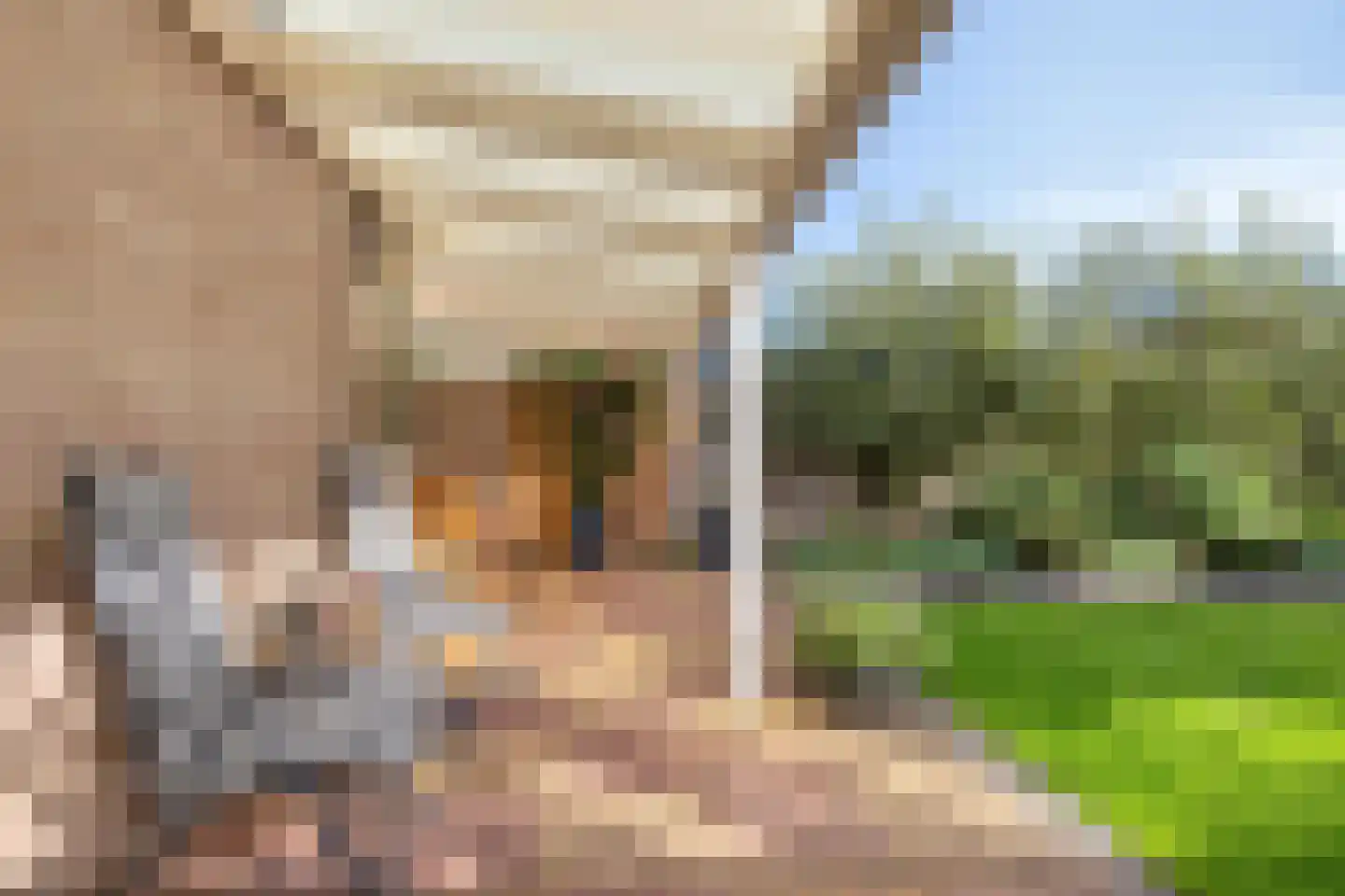 Boommarterstraat 12 Heijen thumbnail 39