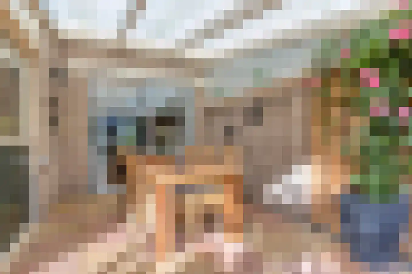 Boommarterstraat 12 Heijen thumbnail 40