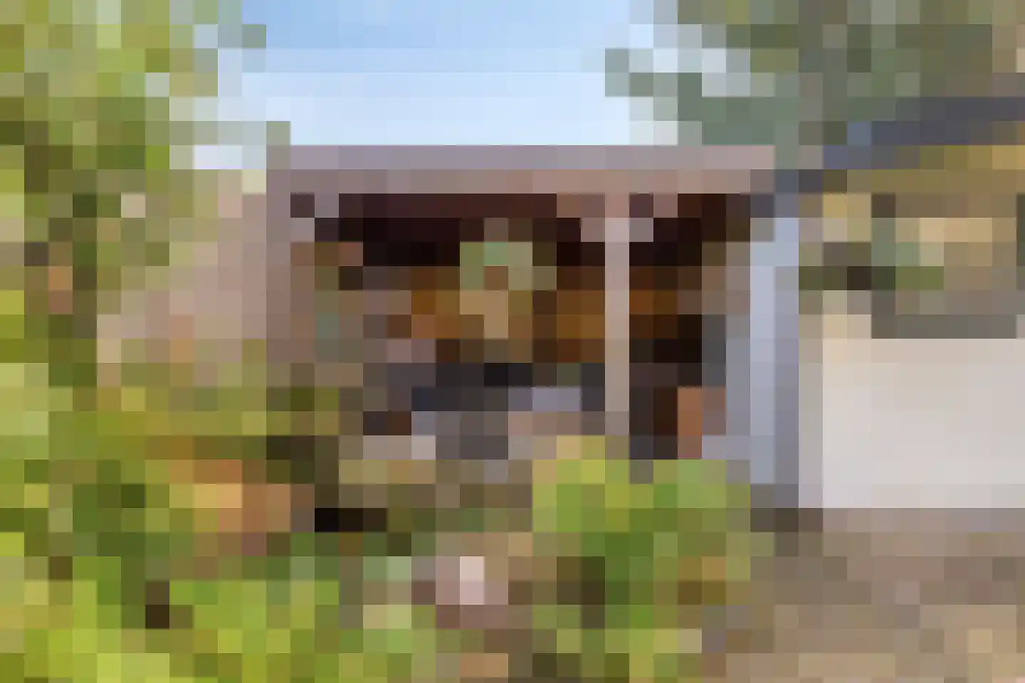 Boommarterstraat 12 Heijen thumbnail 46