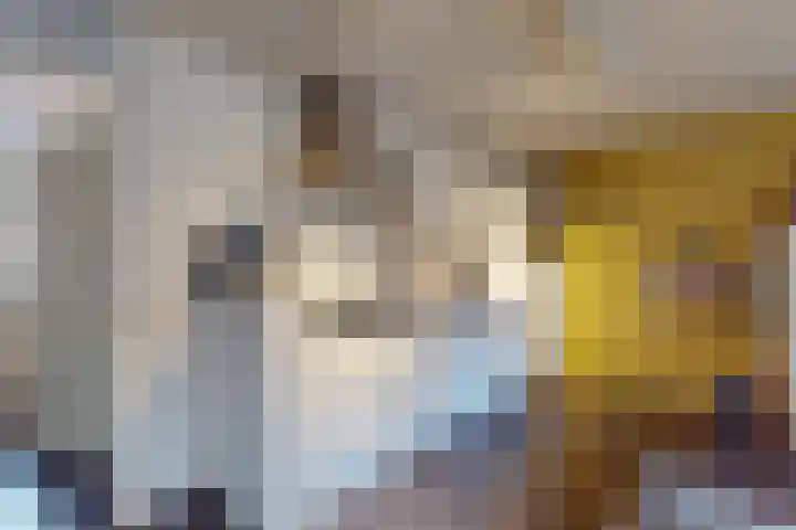 Boompjes 2 Almelo thumbnail 12