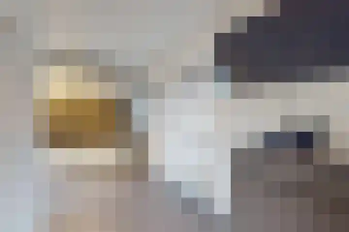 Boompjes 2 Almelo thumbnail 20