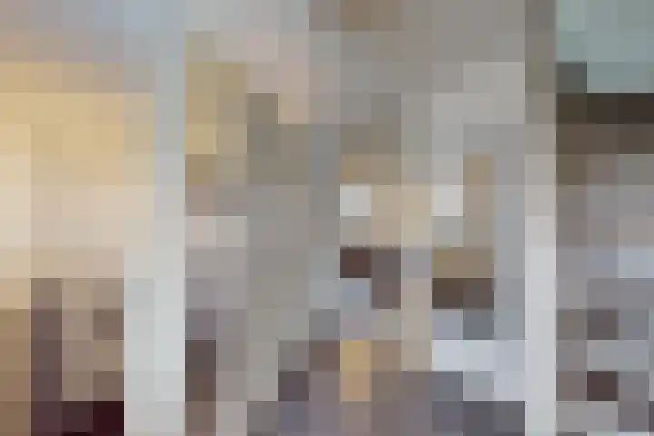 Boompjes 2 Almelo thumbnail 9