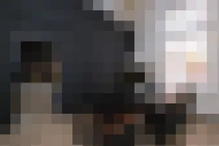 Boompjes 3 Almelo thumbnail 12