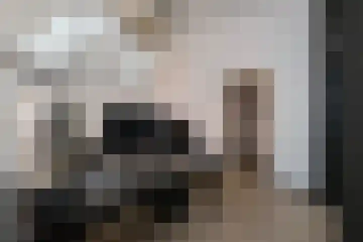Boompjes 3 Almelo thumbnail 13
