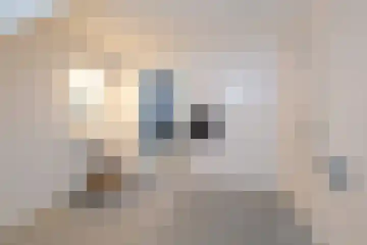 Boompjes 3 Almelo thumbnail 15