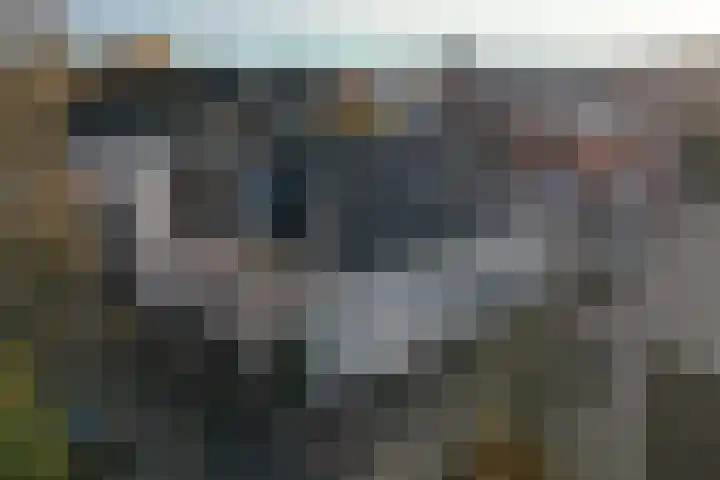 Boompjes 3 Almelo thumbnail 22