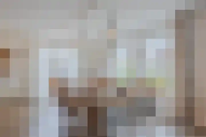 Boompjes 3 Sint Jansklooster thumbnail 10