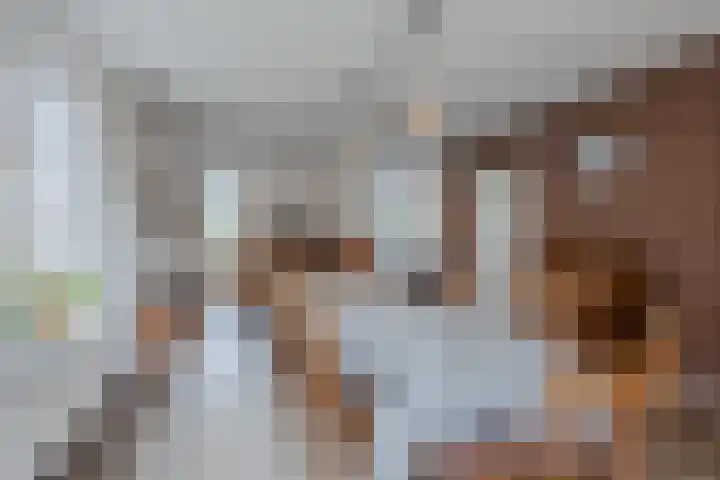Boompjes 3 Sint Jansklooster thumbnail 12