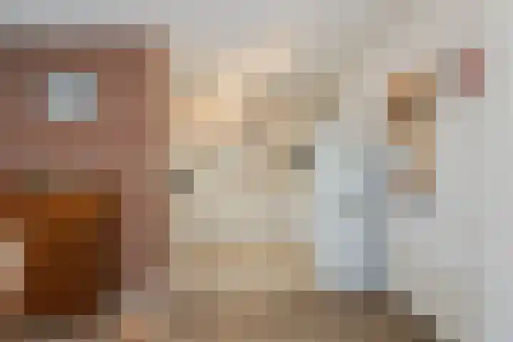 Boompjes 3 Sint Jansklooster thumbnail 13