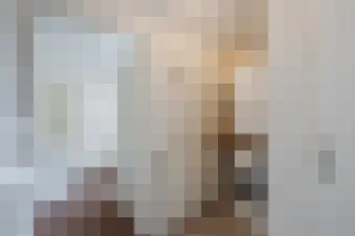 Boompjes 3 Sint Jansklooster thumbnail 18