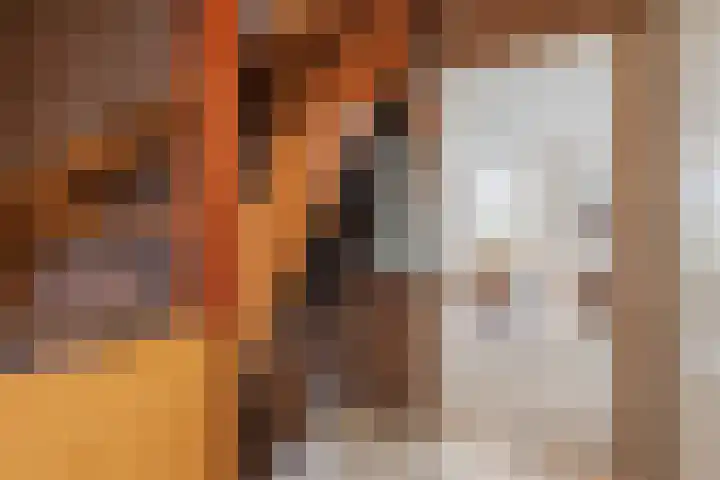 Boompjes 3 Sint Jansklooster thumbnail 23
