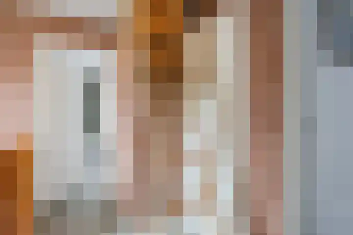 Boompjes 3 Sint Jansklooster thumbnail 35