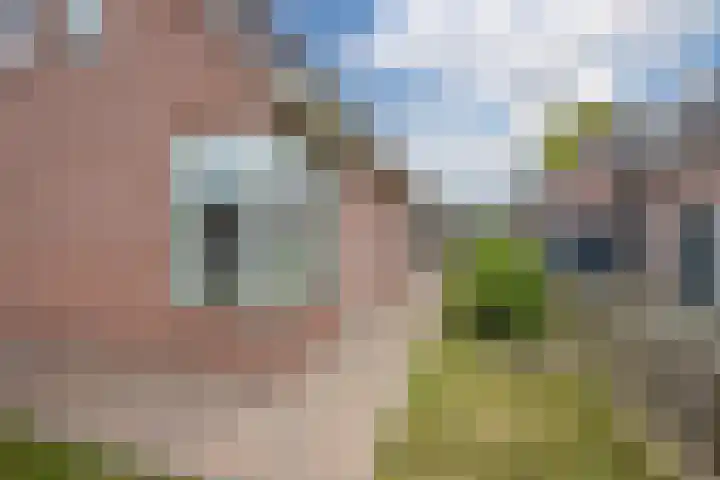 Boompjes 3 Sint Jansklooster thumbnail 39