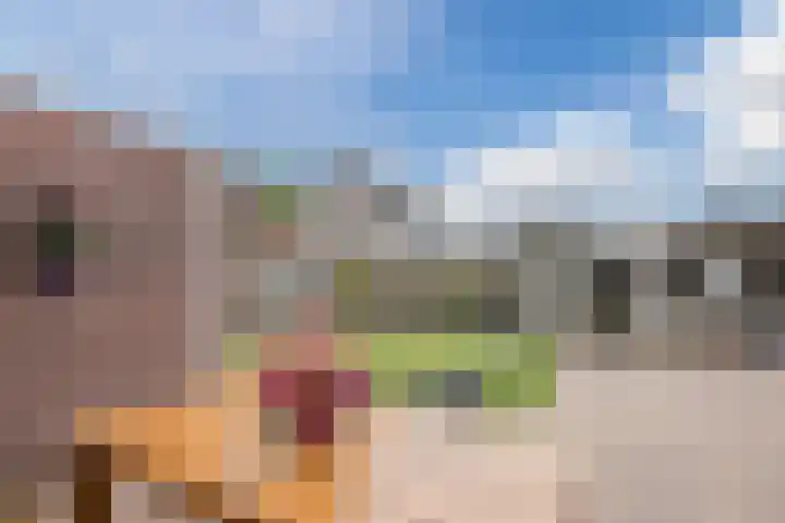 Boompjes 3 Sint Jansklooster thumbnail 43