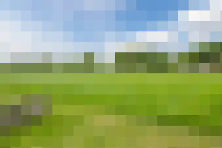 Boompjes 3 Sint Jansklooster thumbnail 45
