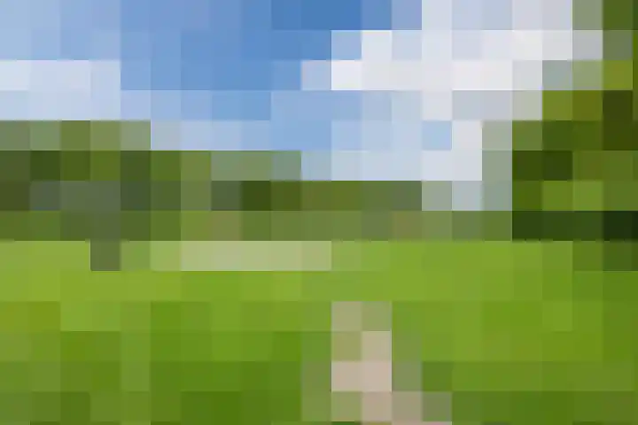 Boompjes 3 Sint Jansklooster thumbnail 46