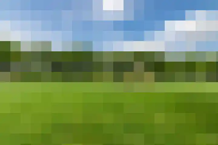 Boompjes 3 Sint Jansklooster thumbnail 47