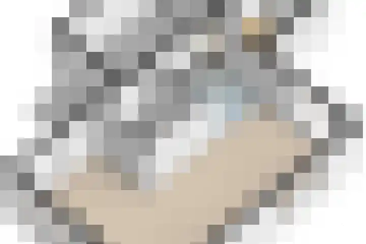 Boompjes 3 Sint Jansklooster thumbnail 49