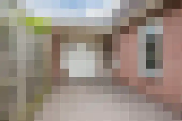 Boompjes 3 Sint Jansklooster thumbnail 5
