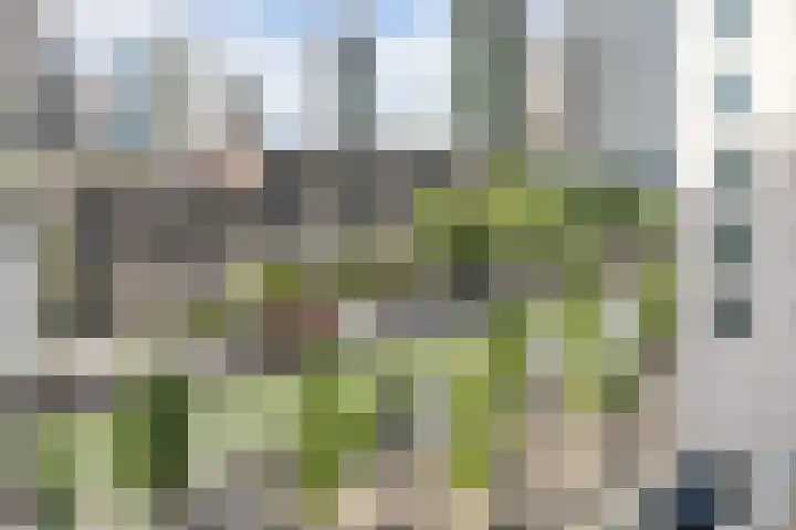 Boompjes 302 Rotterdam thumbnail 11
