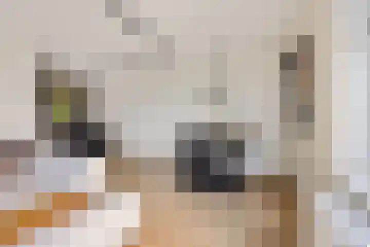 Boompjes 302 Rotterdam thumbnail 12