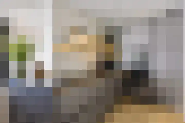 Boompjes 302 Rotterdam thumbnail 13