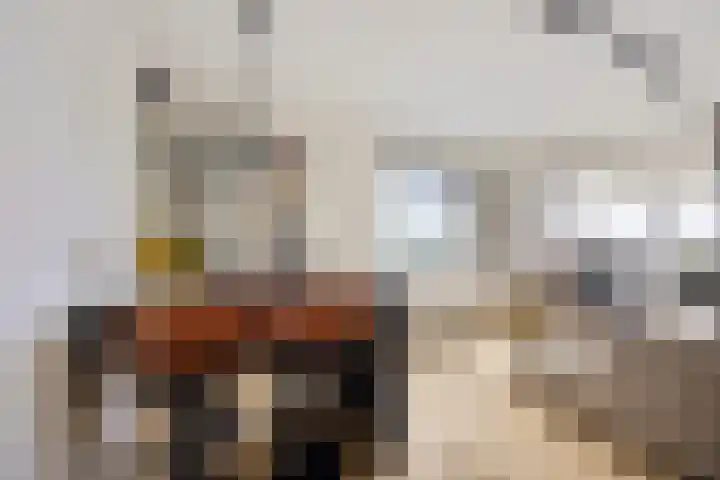 Boompjes 302 Rotterdam thumbnail 15