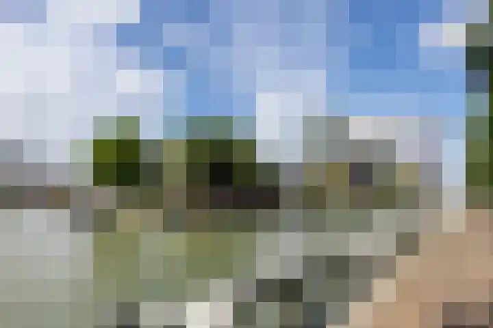 Boompjes 302 Rotterdam thumbnail 26