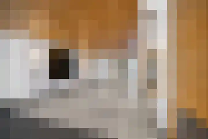 Boompjes 302 Rotterdam thumbnail 5