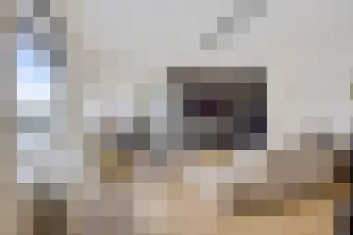 Boompjes 302 Rotterdam thumbnail 7