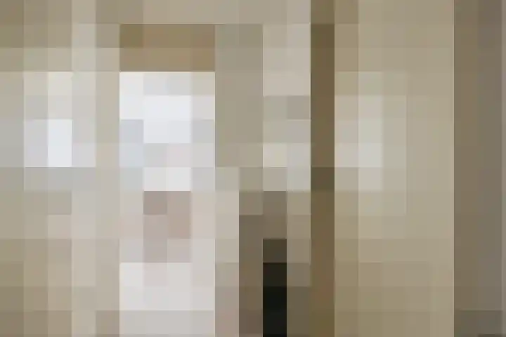 Boompjes 314 Rotterdam thumbnail 11
