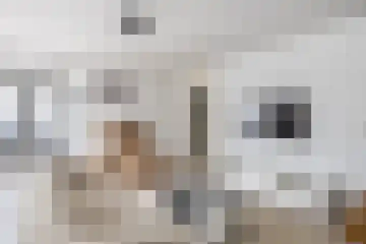 Boompjes 314 Rotterdam thumbnail 12