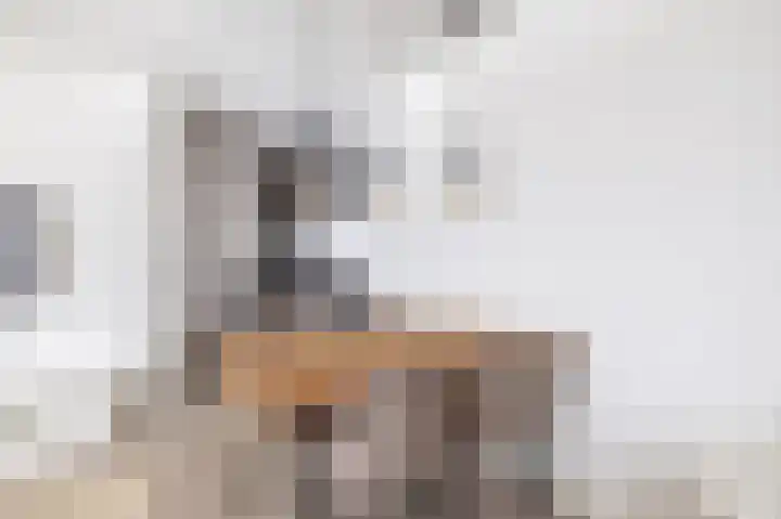 Boompjes 314 Rotterdam thumbnail 15