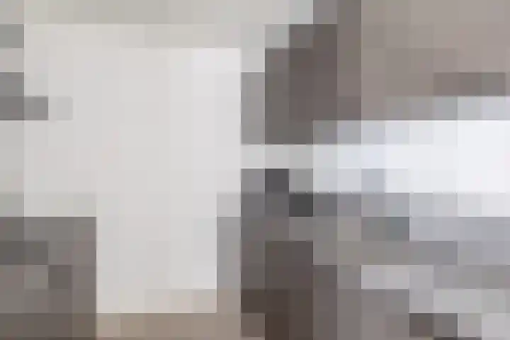Boompjes 314 Rotterdam thumbnail 17