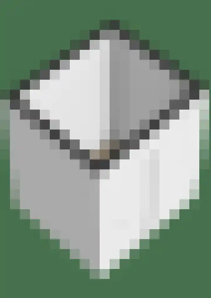 Boompjes 314 Rotterdam thumbnail 41